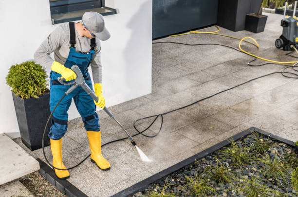 Best Local Pressure Washing Services  in Start, LA