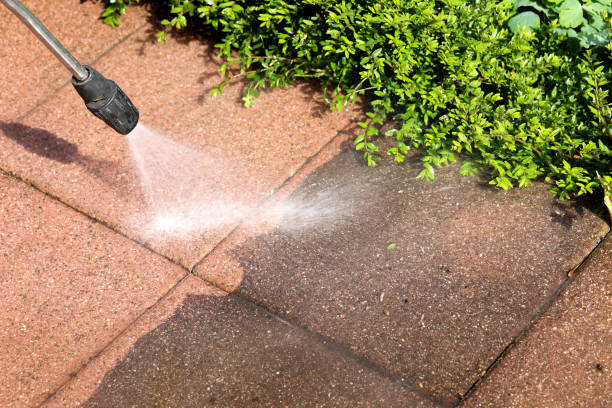 Best Roof Pressure Washing  in Start, LA